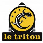 logo_triton-590×537