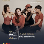 778x1024_les-brunettes