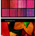 PicStrip Abbonamento 12 Mesi digitale + cartaceo (14 CD + 12 magazine) + 4 CD singoli + Borsa di tela