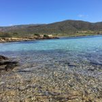 Asinara (2m)