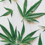 Banner-300px-250px-NUOVO