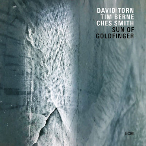 David Torn / Tim Berne / Ches Smith «Sun Of Goldfinger»