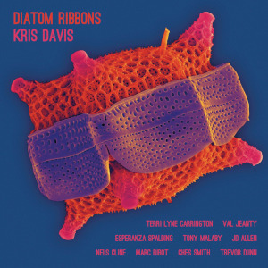 Diatom Ribbons - Kris Davis