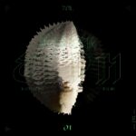 EDN1173_PetterEldh_PDVol1_Packshot-100-scaled