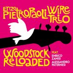 Enzo Pietropaoli Wire Trio – Woodstock Reloaded