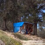 Federica_Michisanti-Addis-Abeba-_-The-blu-coffee