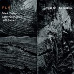 Fly-Year-of-the-Snake