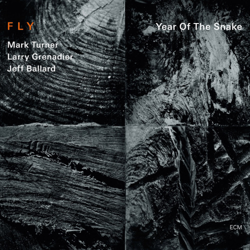 Fly «Year of the Snake»