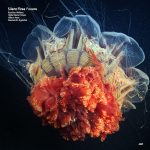 Forests-Silent_Fires