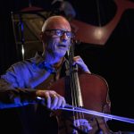 Friedlander