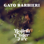 Gato-Bolivia
