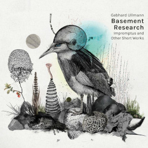 Gebhard Ullmann Basement Research «Impromptus And Other Short Works»