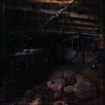 John-Medeski-Crawlspace-2021