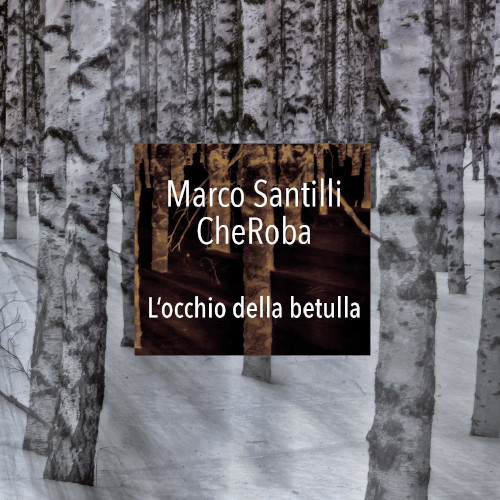 Marco Santilli «L'occhio della betulla»