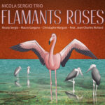 Pochette CD face Flamants Roses distributeur