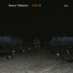 Steve Tibbetts «Life Of»