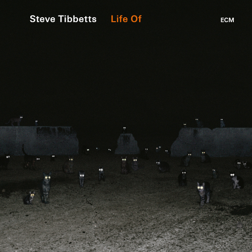 Steve Tibbetts - Life Of