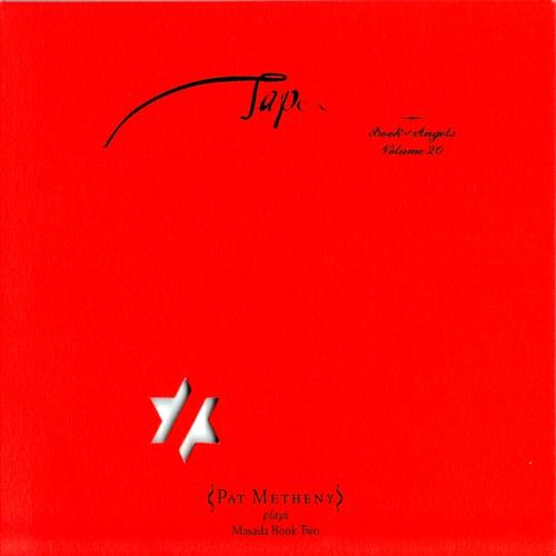 tap metheny