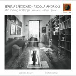 The-Shining-of-Things.-Dedicated-to-David-Sylvian-Copertina-1-1