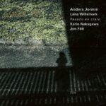 anders jormin