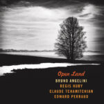 bruno angelini