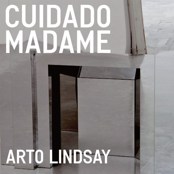 d lindsay Arto Lindsay
