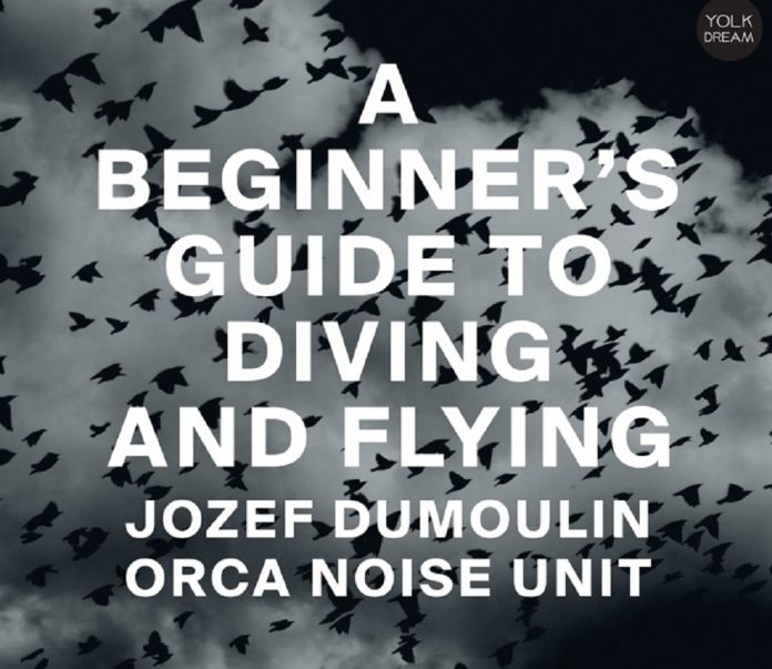 josef dumoulin & orca noise unit a beginner's guide to diving and flying