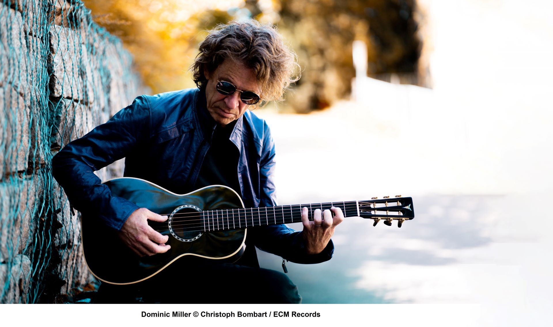 Dominic Miller: Vagabond