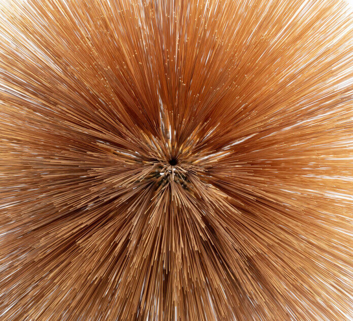 Patricia Brennan Of the Near and Far