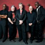spyrogyra-color-brickwall2575