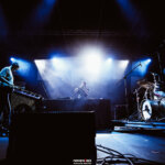 the elephant @ broletto – ┬® emanuele_meschini_7434